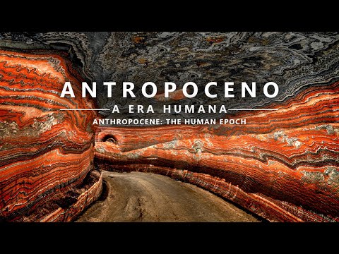 Anthropocene Lecture: Anna Lowenhaupt Tsing
