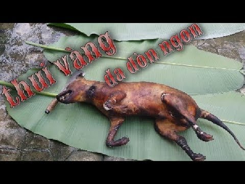 Muốn món thịt chó chuẩn.ăn thơm đúng vị rửa mận.thịt luôc thì bước thui ...