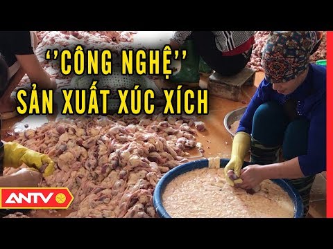 Video: Nuôi con cá nhân (PSP): giải mã các khái niệm chính