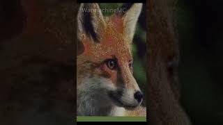 Fox Minecraft Pixel Art