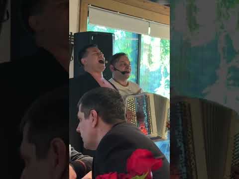 Баянист спас ситуацию #владимирбутусов #дмитрийбеседин