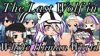 •The Last Wolf In Whole Human World • Gacha Life (GLMM)