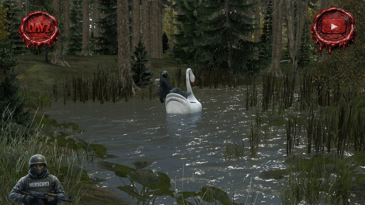 Late night Azalea run: Just another day of DayZ nonsense" 