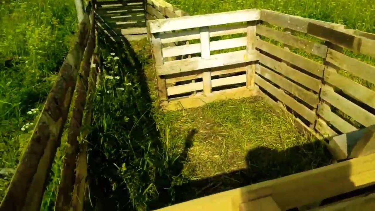 Готовлюсь к кастрации кабанчиков. Строю изолятор. - YouTube