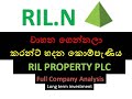 R I L PROPERTY PLC (RIL.N) -  Full company analysis / Long term investment