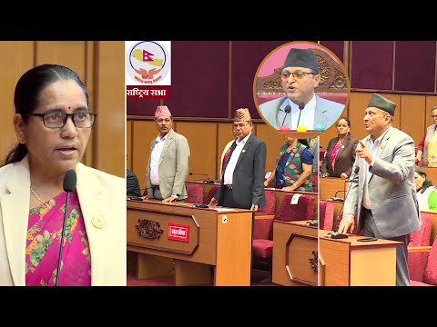राष्ट्रिय सभामा एमाले सांसद विमला घिमिरेले कांग्रेस सांसदलाई आरोप लगाएपछि. . .
