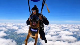 Elite Police K9 Parachute Training Compilation.🐕❤️‍🔥 #dog #malinois #military 
