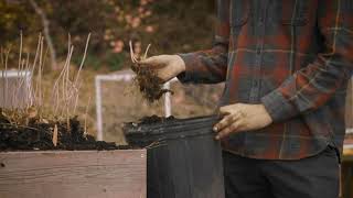 How to unbox the saplings from an air pruning box