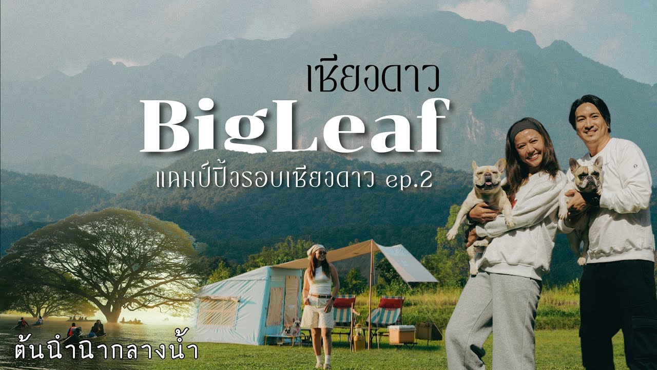 แคมป์ปิ้ง BigLeaf เชียงดาว Ep.234 Road trip 2/2 ปีใหม่ที่เชียงดาว นั่งเรื่อเที่ยวชม ต้นฉำฉา กลางน้ำ