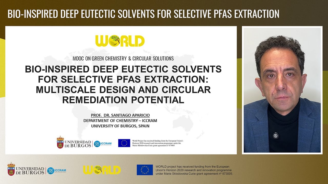 Chapter 7: Bio-inspired Deep Eutectic Solvents for selective PFAS extraction