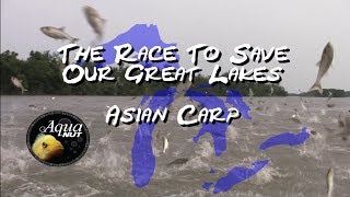 The Asian Carp Invasion : The Race To Save Our Great Lakes @AQUANUT