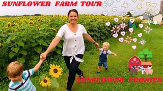The Most Breathtaking Sunflower Farm Tour EVER: You HAVE To See This! | Sam and Louis