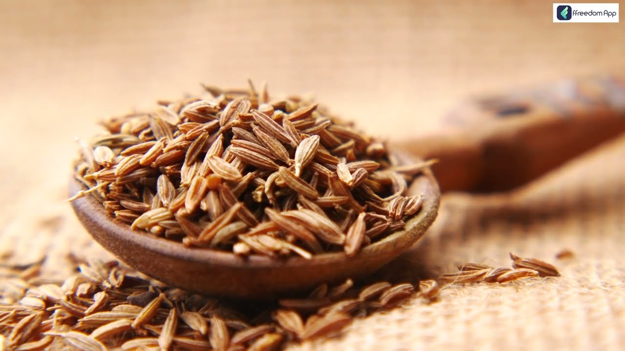 जीरा की खेती | How to Start Cumin Farming | Cumin Agriculture | Pawan