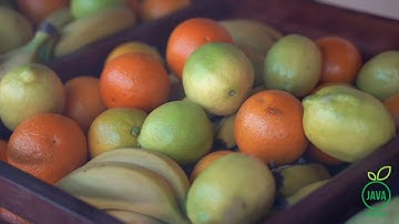 Java Juice - Rebrand Video