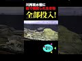 川再現水槽に庭で捕獲した生き物全部投入する！【120cm水槽】 #水槽 #アクアリウム