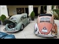 VW SPLIT WINDOW BUGS AT THE VW TREFFEN AT THE PHOENIX CLUB IN ANAHEIM CA. 9.17.2017