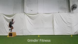 Box jump + depth drop + 10 yd sprint single leg
