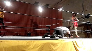 Wrestler uses Challenge Flag & Instant Replay to reverse the decision in a title match!