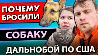 Почему мы отдали собаку в шелтер | Дальнобойщиков снова трое | Работа на фуре в США