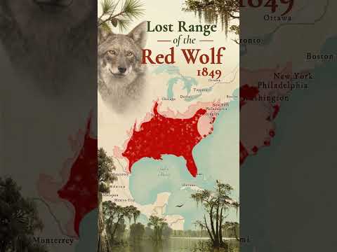 Lost Range of the Red Wolf