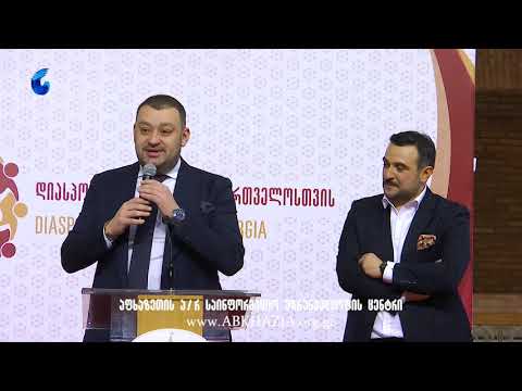 ფონდის \"დიასპორების ალიანსი საქართველოსთვის\" პრეზენტაცია
