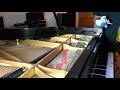 #4 Restoring An Old Steinway Piano Strings & Gold Harp Cleanup