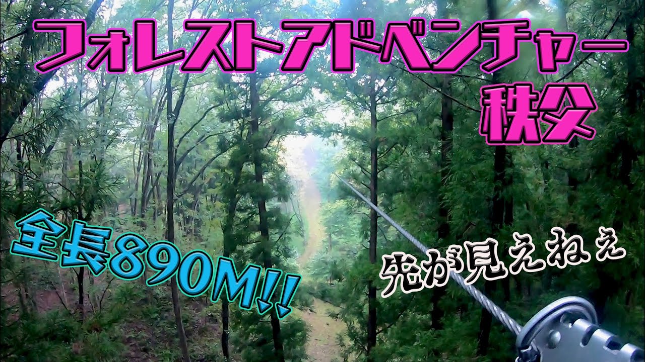 平均高さ10M以上のアスレチック！？秩父のフォレストアドベンチャーにて筋トレじゃい！