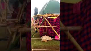 Regional Inter-Patrol Scouts Competition.
