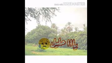 حليل الحله يا اخوان عبود سروريه حالات واتساب 