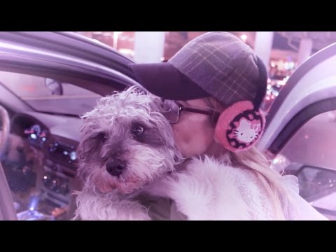 Owner Reunites With Dog | Lauren Francesca - Owner Reunites With Dog | Lauren Francesca