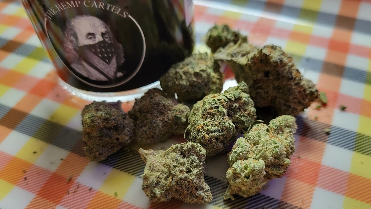The Hemp Cartels (hmp) Cookie Monster High THCA Hemp Flower Strain Review 💯 🔥