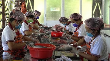 Rút xương cá thát lát để nâng cao giá trị sản phẩm