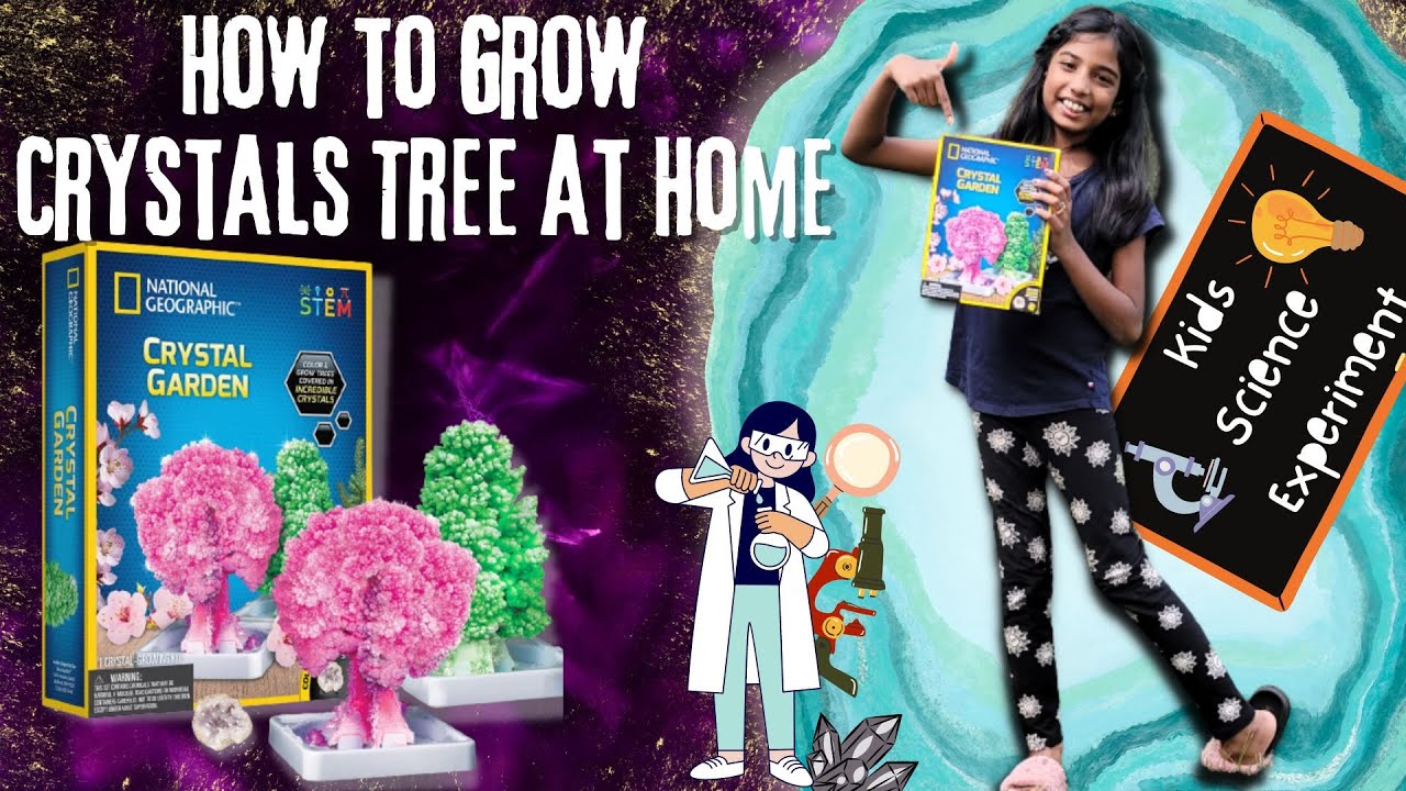 How to grow a Crystal Garden at Home! National Geographic Crystal