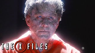 2Shy - The X-Files (1993) - Season 3 Episode 6 Unknown Facts & Deep Breakdown Net Worth
