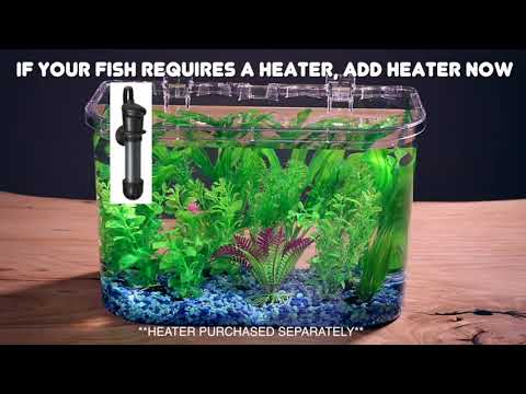 Koller Products Panaview 5-Gallon Aquarium Kit