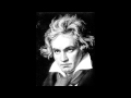 Ludwig Van Beethoven Ode To Joy Symphony No 9 Hassan Haddad On Oud 