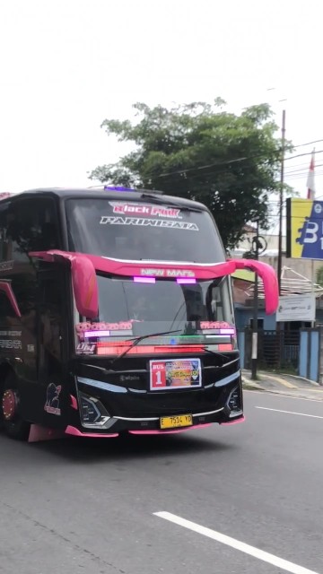 TELOLET BASURI BUS TUNGGAL JAYA BLACKPINK!!! #busmania #telolet #basuri #reels #shorts