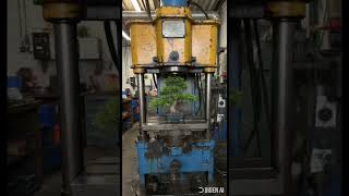 🔥 Hydraulic Press vs Tandoor, Gas Cylinder, Trees & Iron | Satisfying Crush Test 😱