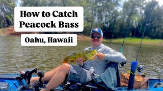 How to Catch Peacock Bass - Oahu, Hawaii