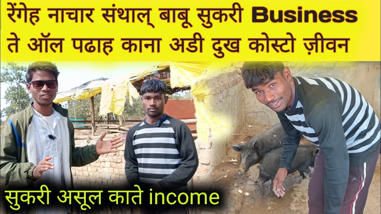 Sukri Business Santhal Babu Video|| संथाल् बाबू दुख स्टोरी प्लिज़ येल पे वीडियो