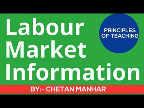 LABOUR MARKET ECONOMICS , LABOUR MARKET INFORMATION IN HINDI , LABOUR MARKET ANALYSIS ,