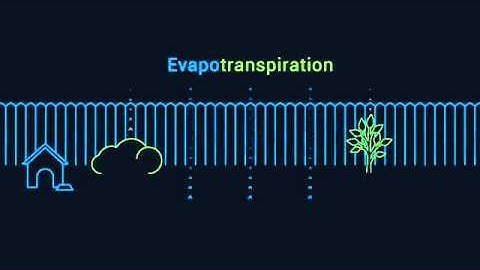 Rachio Zone & Watering Schedule Setup SD