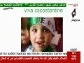 OUADAH SUR DZAIR SHOP 3