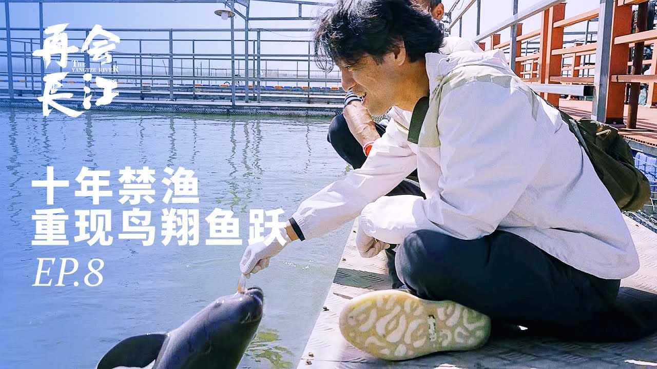 日本人10年后重访三峡大坝，亲自体验世界上最大的升船机《再会长江》EP.08