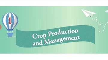 VIII SCIENCE/CH-1/CROP PRODUCTION&MANAGEMENT/BY RAJESH KUMAR