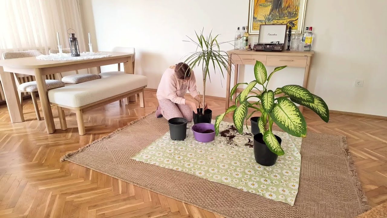 Slow Living on Rainy Day | Hеспешная жизнь