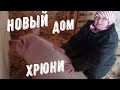 Новый дом хрюни. Переезд. #домвдеревне #семьявселе #деревня