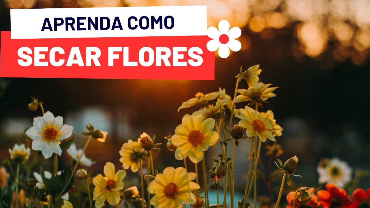 COMO SECAR FLORES PRA USAR NA RESINA.