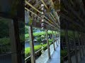 のにのに っていう曲です。 #おすすめ #邦ロック #恋愛 #エモ動画 #オリジナル曲