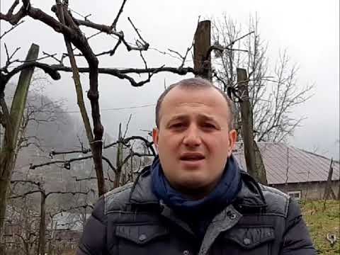 ქედის რაიონი სოფელი გულები  #ალტერნატივა